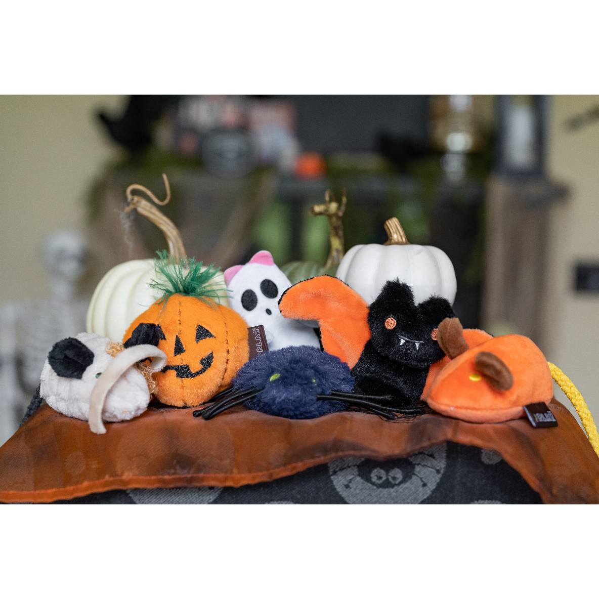 Feline Frenzy - Halloweensetje pompoen en spookje