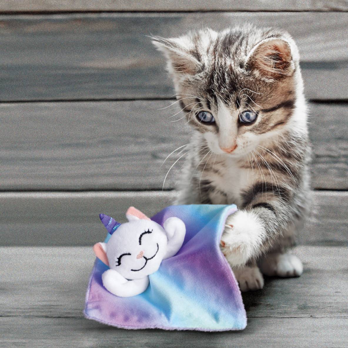 KONG Caticorn
