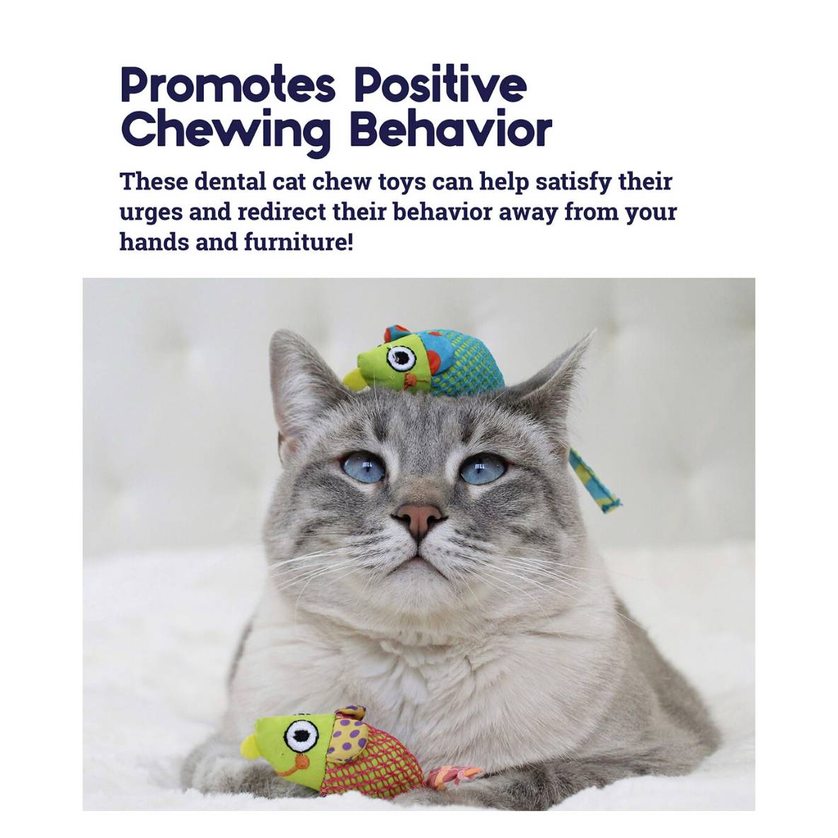 Petstages CATNIP CHEW MOUSE (2 speeltjes)