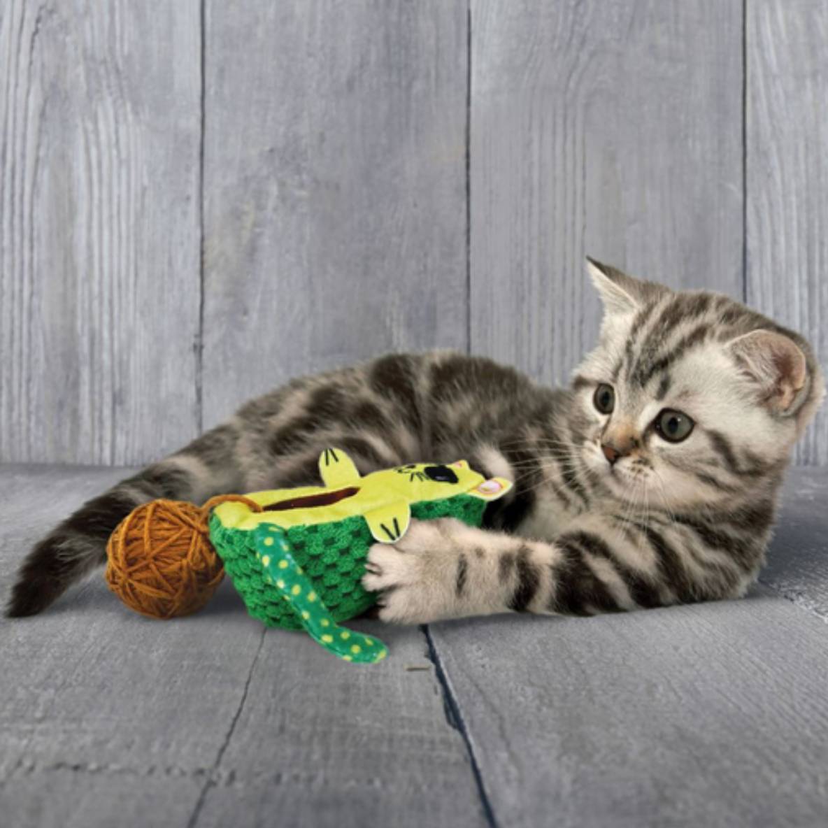 KONG Wrangler AvoCATo