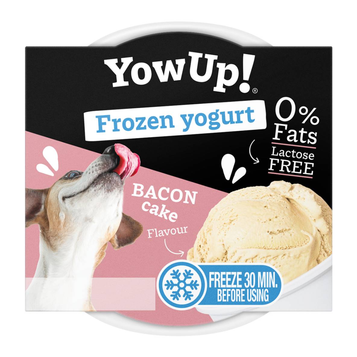YowUp! Frozen Yoghurt - Bacon Cake