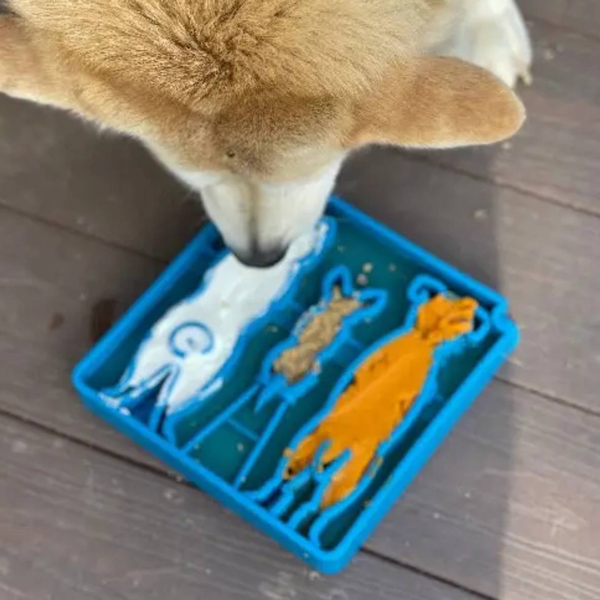 Slow Feeder Waiting Dogs Etray