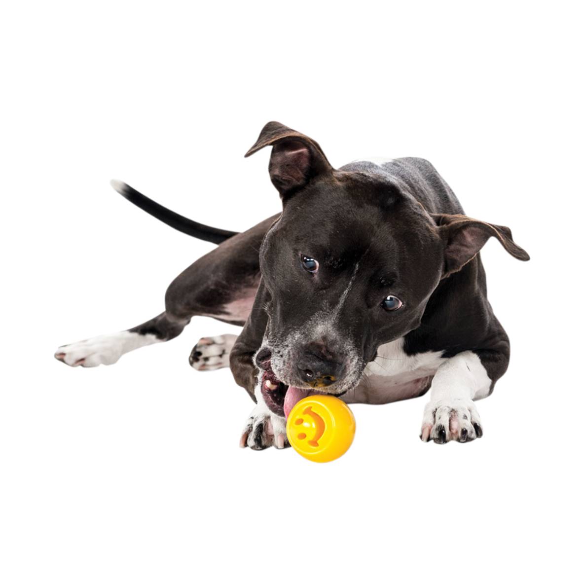 Planet Dog ORBEE-TUFF Nooks (Happiness Geel)