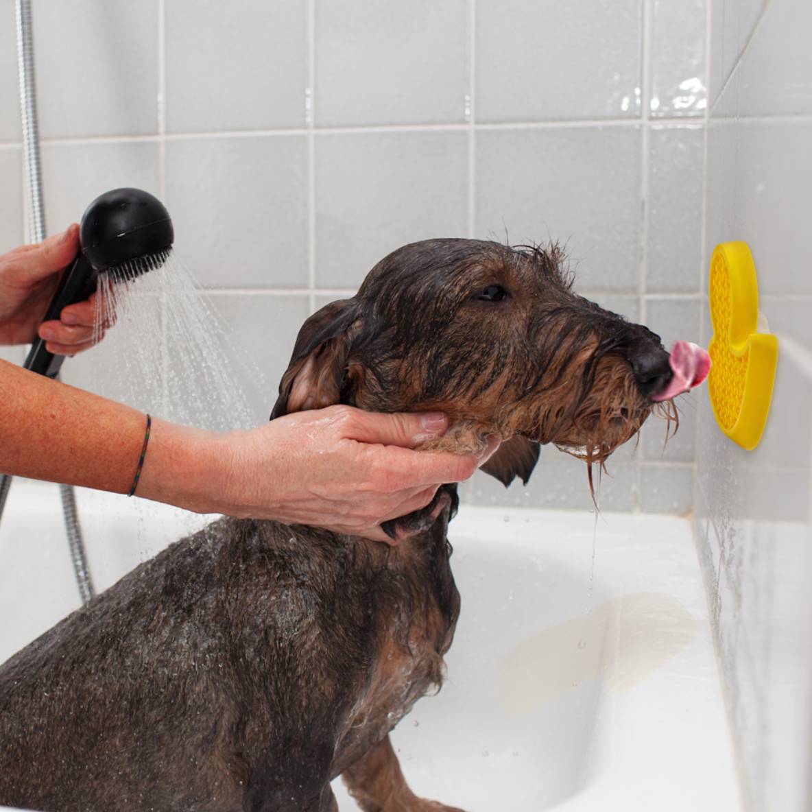 AFP Calm Paws - Bath Anti Anxiety Duck