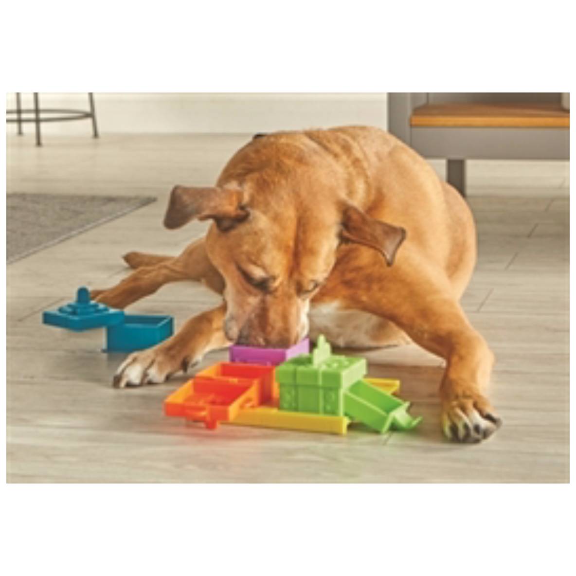 Surprise Party treat puzzle