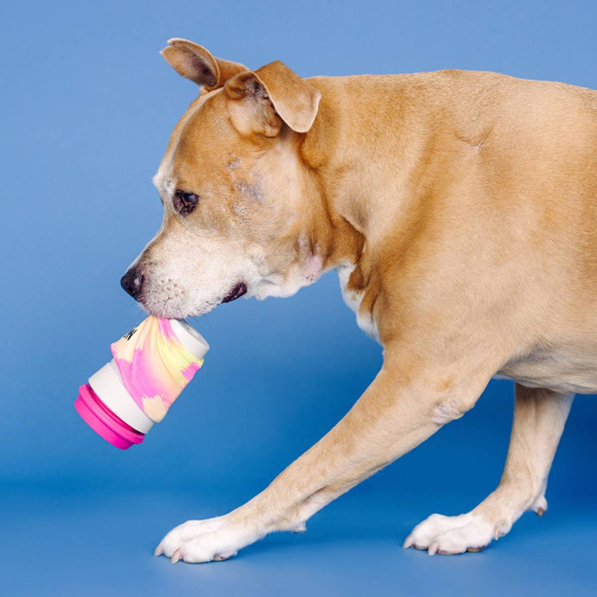 No Talkie Before Coffee