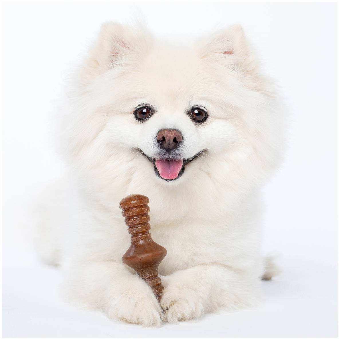 Benebone Tiny 2-Pack - Maple Stick + Zaggler (Bacon)