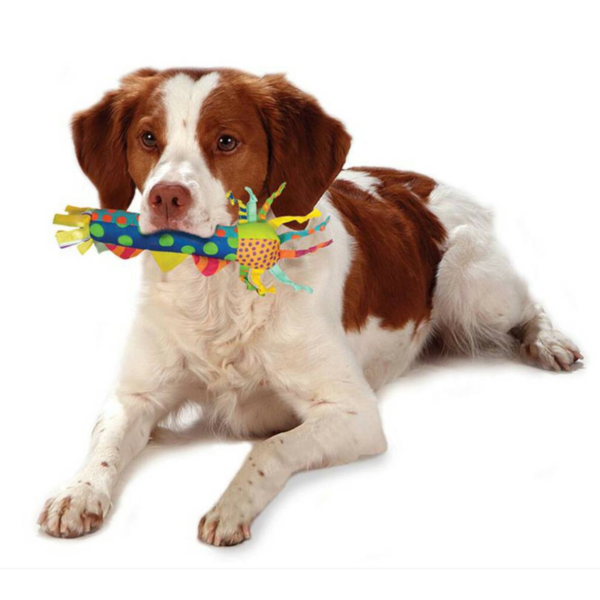 Petstages Cool Teething Stick
