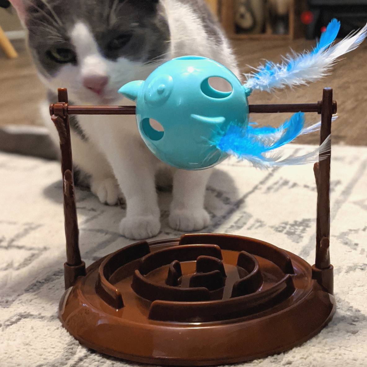Doc & Phoebe's Twirly Bird Snacker / Tweeter Feeder