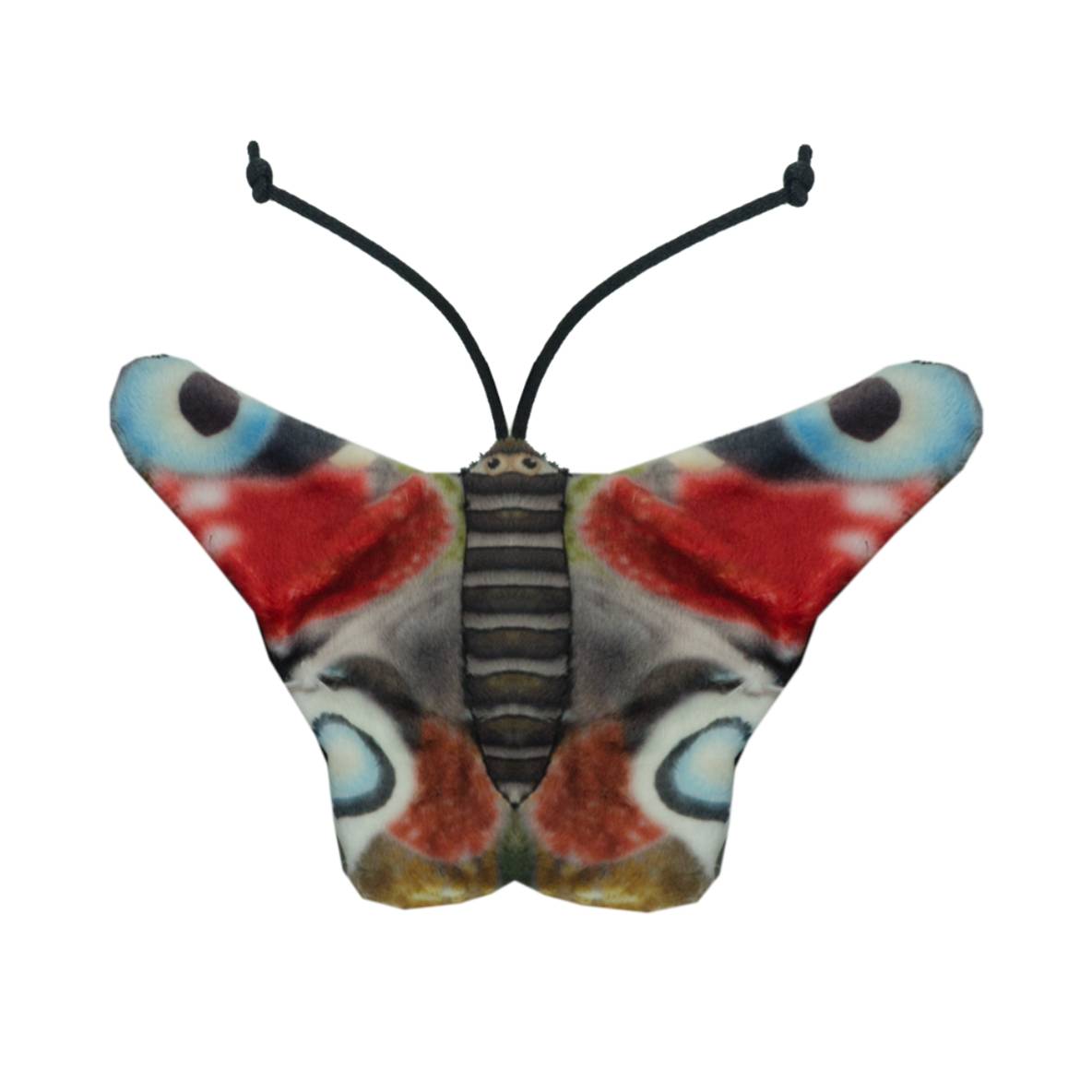 Wild Life Collection - Dagpauwoog