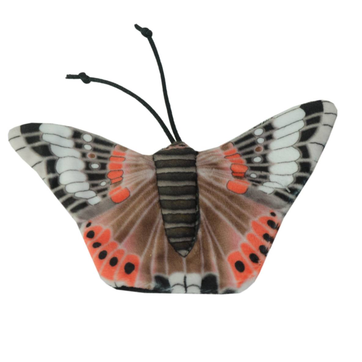 Wild Life Collection - Admiraalvlinder