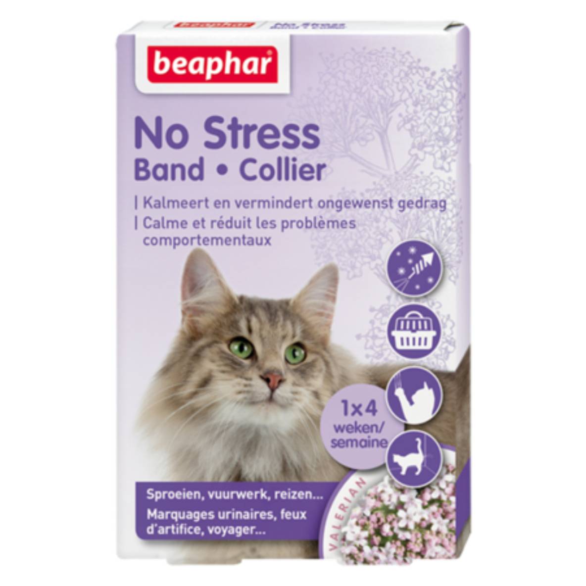 No Stress band kat