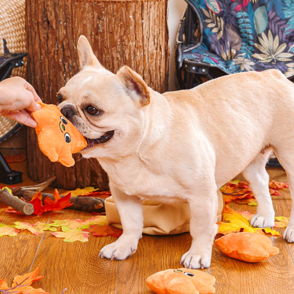 HugSmart Autumn Tailz – Leaf Bag