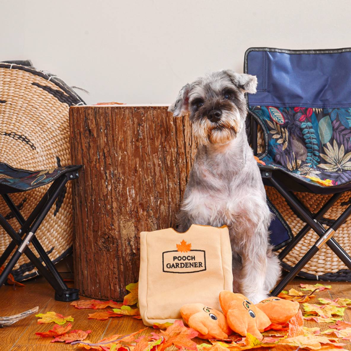 HugSmart Autumn Tailz – Leaf Bag