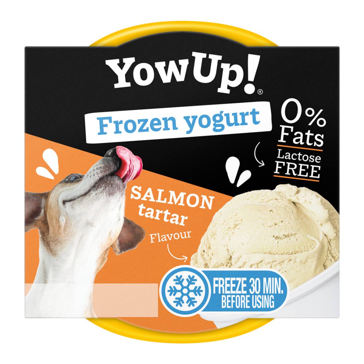 YowUp! Frozen Yoghurt - Zalmtartaar