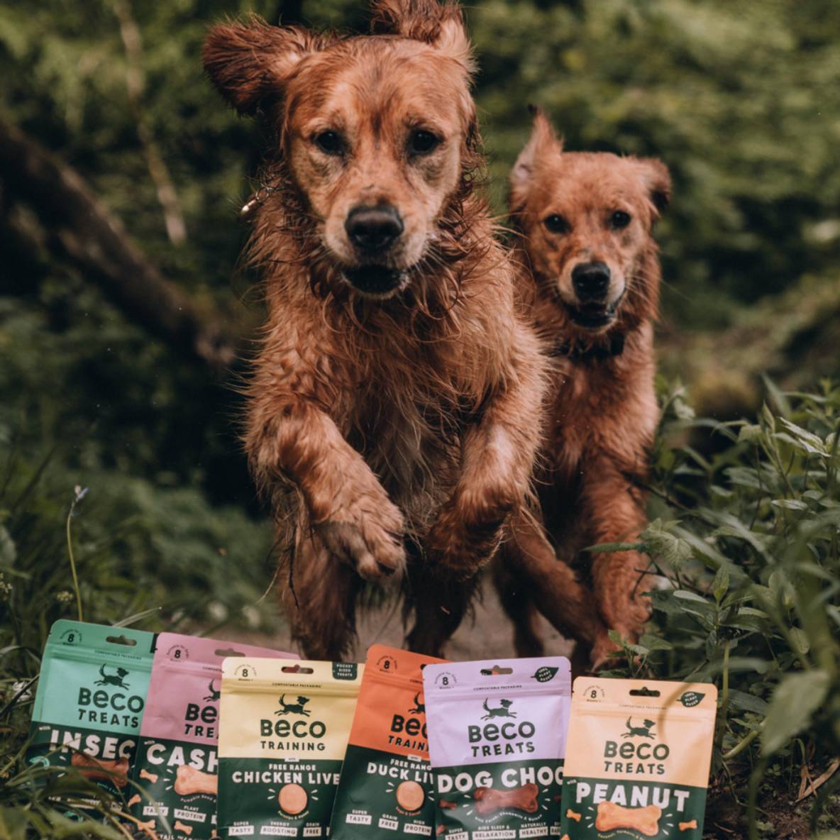 Beco Treats - Dog Choc met Kamille & Quinoa