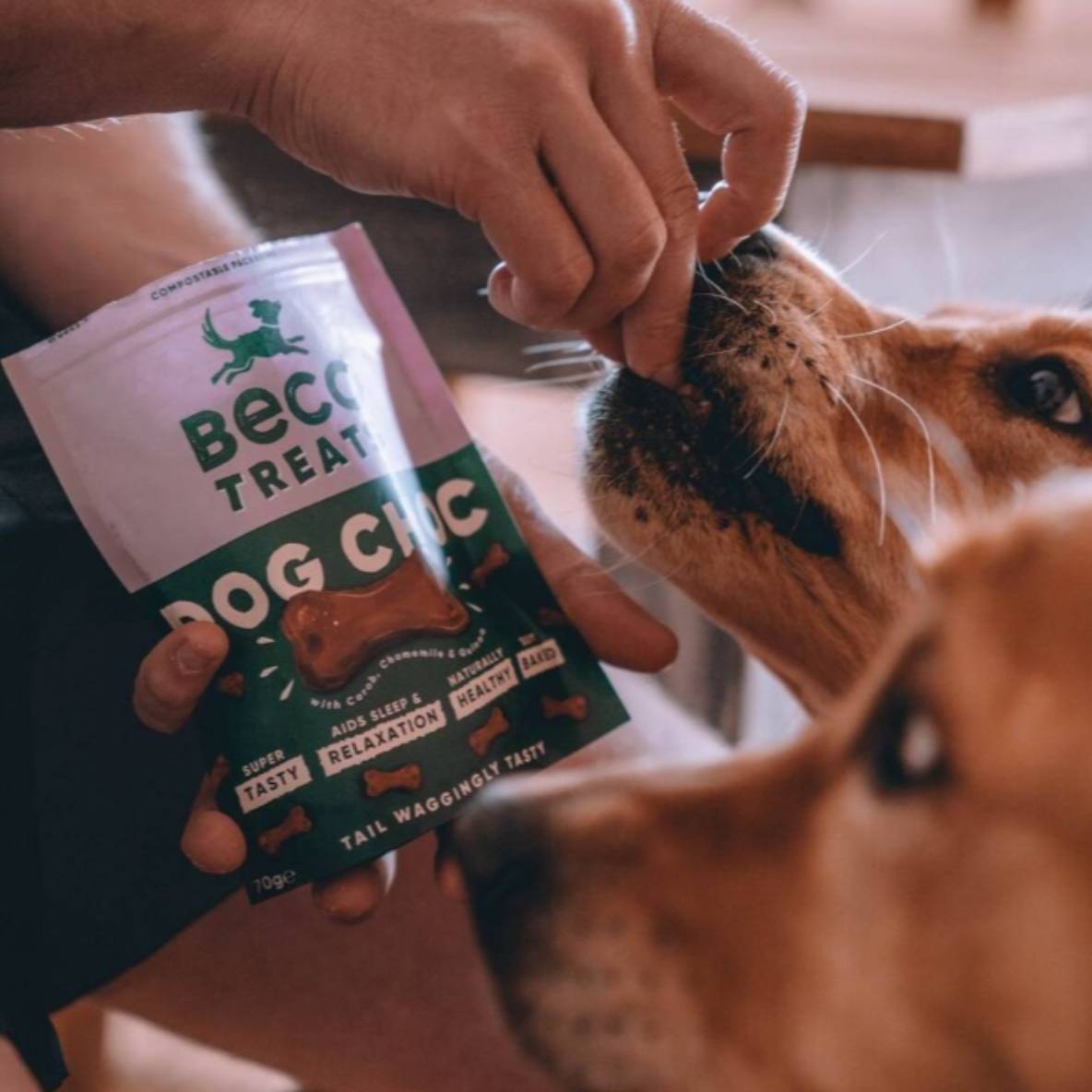 Beco Treats - Dog Choc met Kamille & Quinoa
