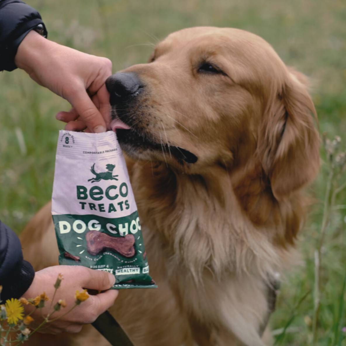 Beco Treats - Dog Choc met Kamille & Quinoa
