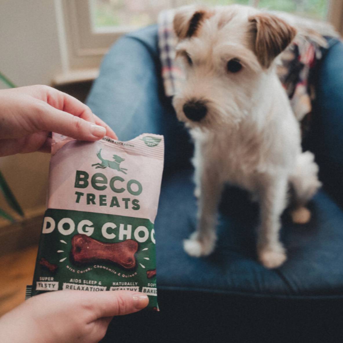 Beco Treats - Dog Choc met Kamille & Quinoa