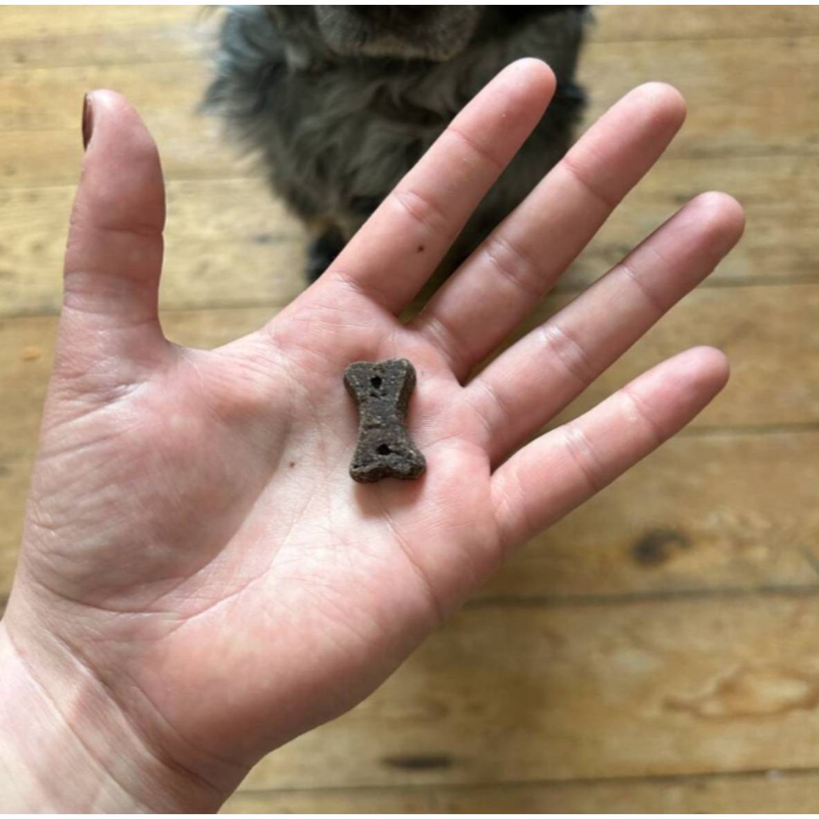 Beco Treats - Dog Choc met Kamille & Quinoa