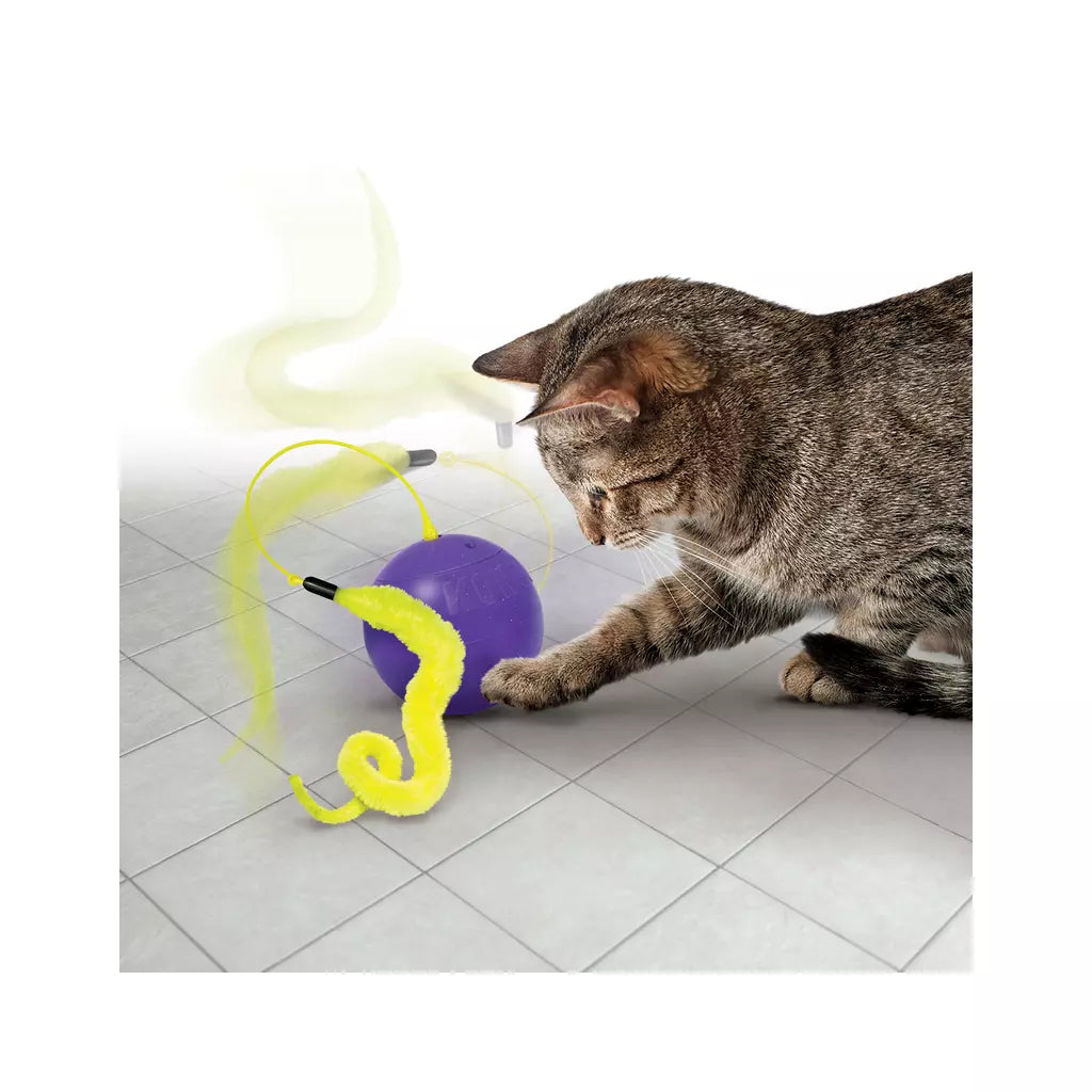Kong Purrsuit Whirlwind