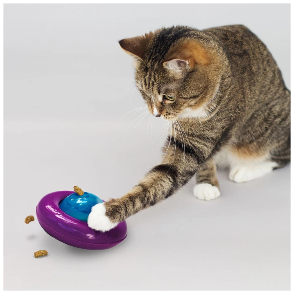 KONG Infused Cat Gyro