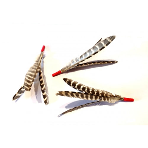 Purrs Feather Purrize kattenspeeltje set van 3
