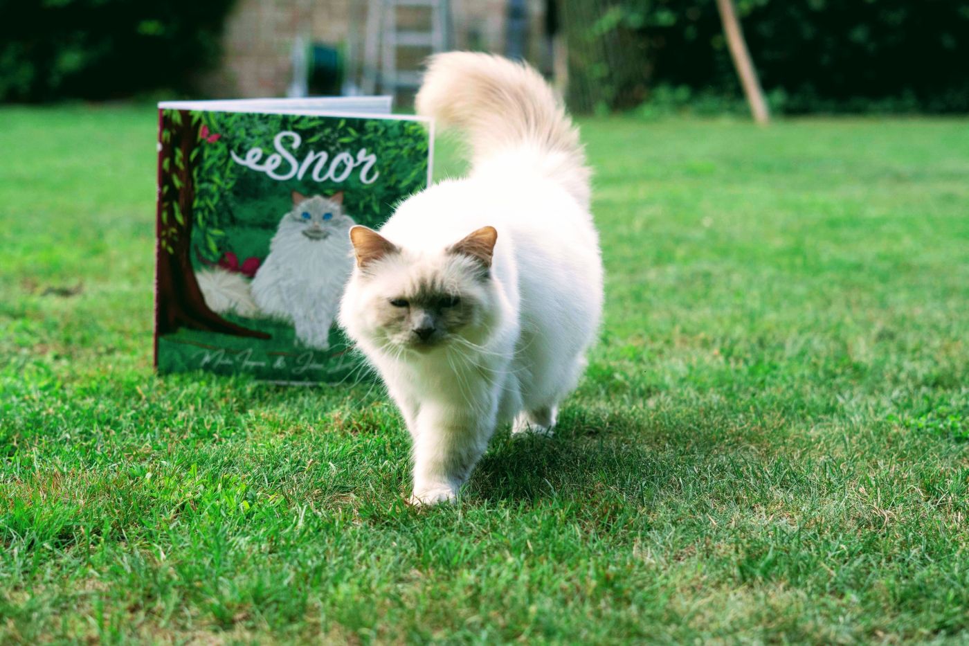 Snor-boek