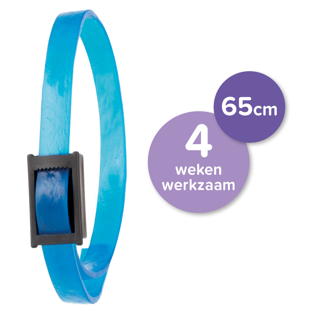 No Stress band hond