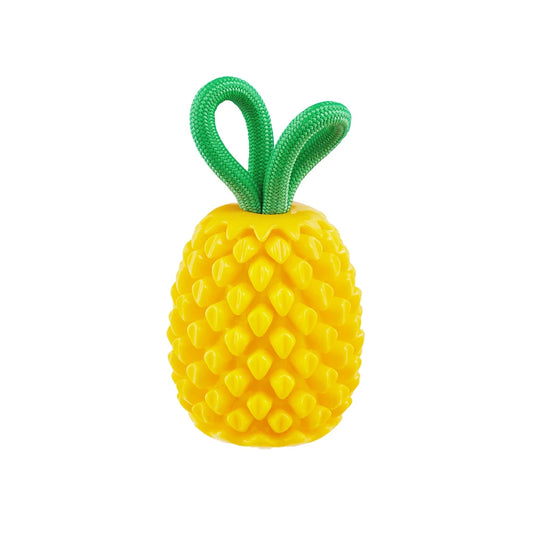 Outward Hound Dental Pineapple (Foodies)