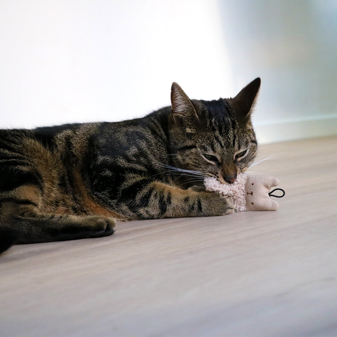 Kattenspeeltje ALFIE beige, zwart of bruin