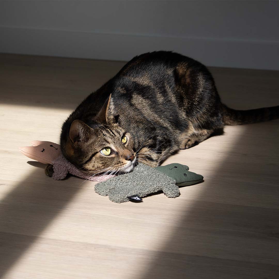 Kattenspeeltje ALFIE Roze