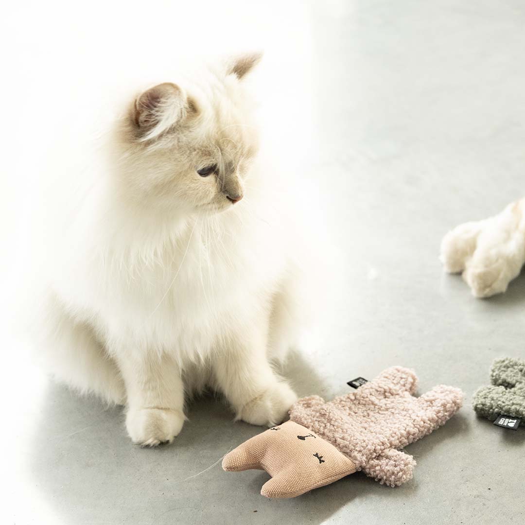 Kattenspeeltje ALFIE Roze