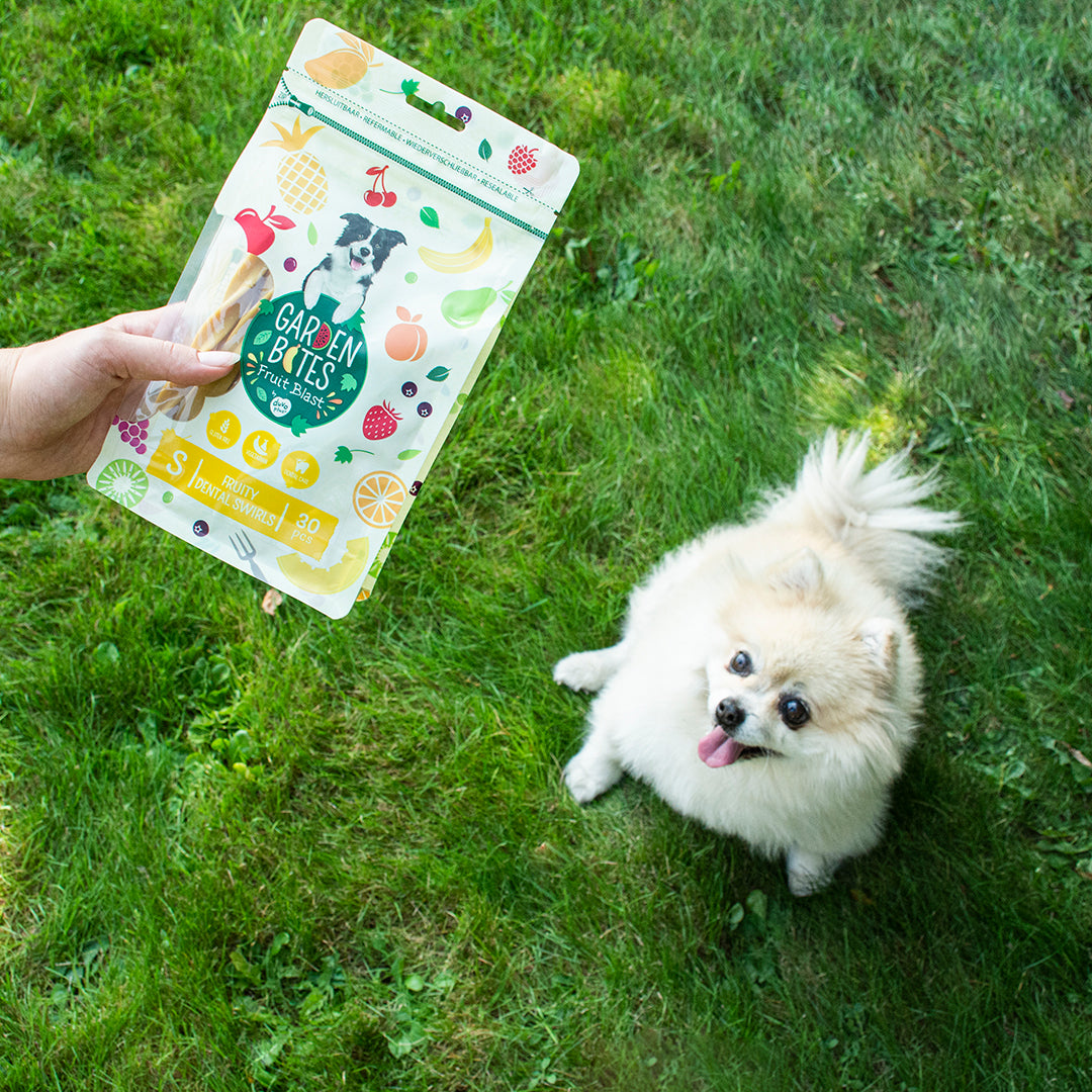 Garden Bites Fruity Friends - Dental Swirls