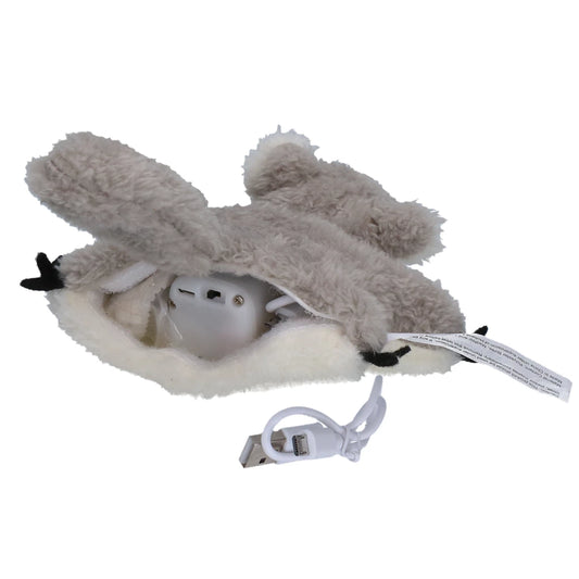 Robocat Eekhoorn