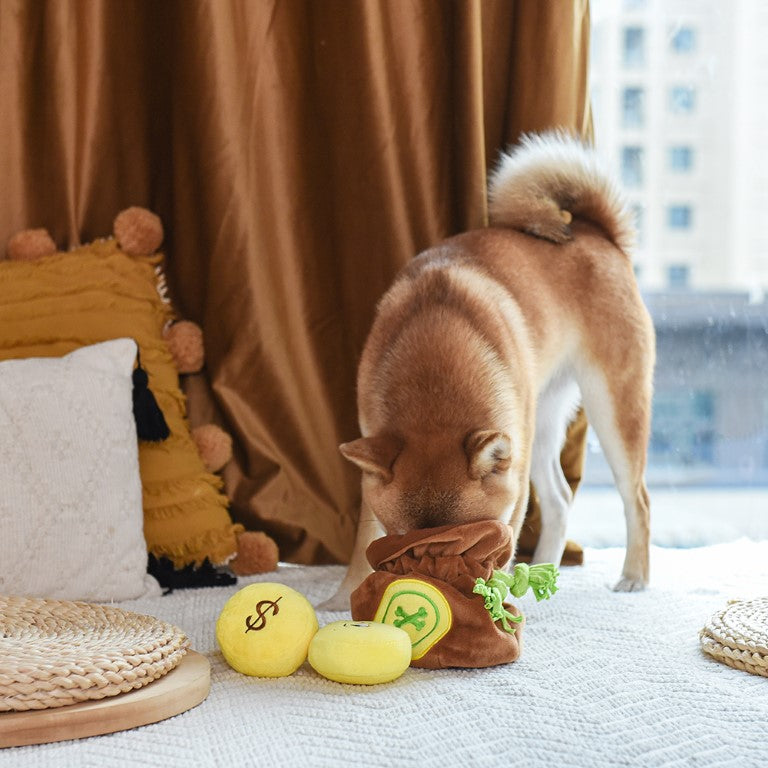 Pirate Pups Treasure Bag
