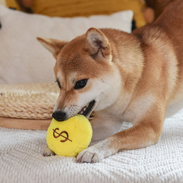 Pirate Pups Treasure Bag