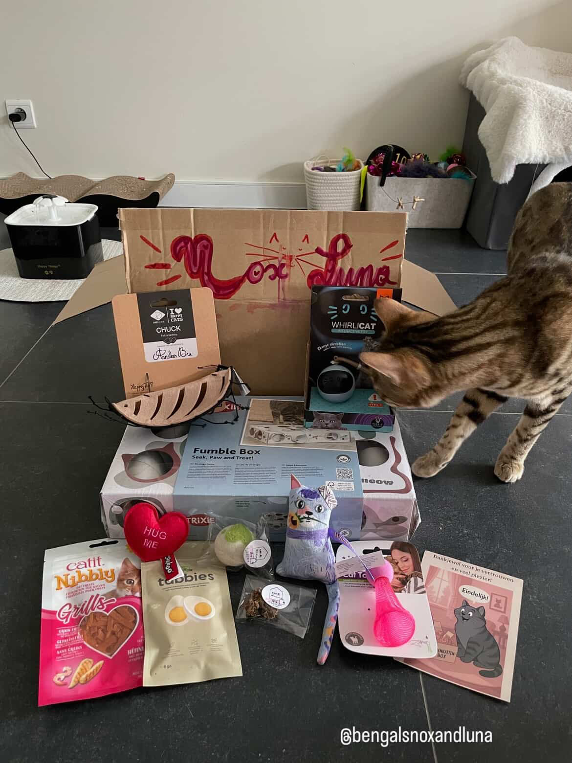 Binnenkattenbox januari - los