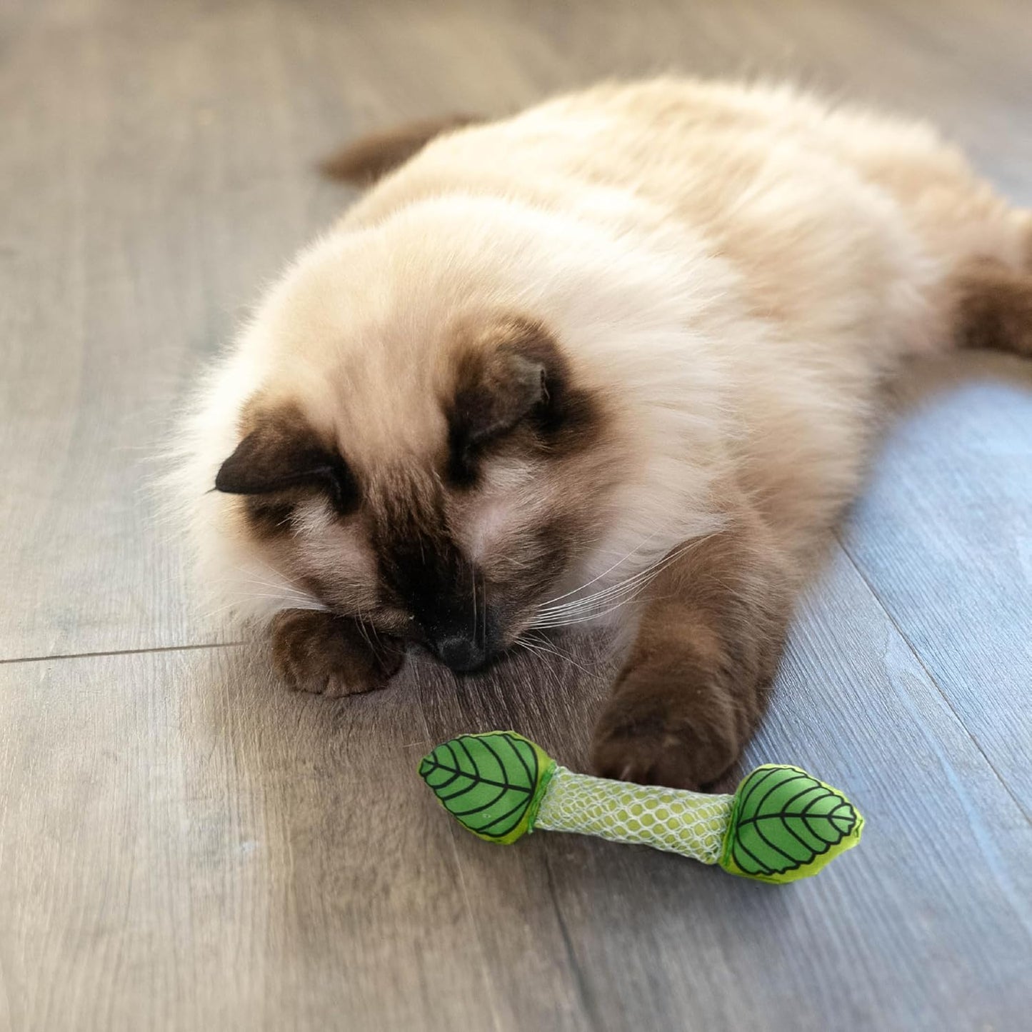 Mint Stick