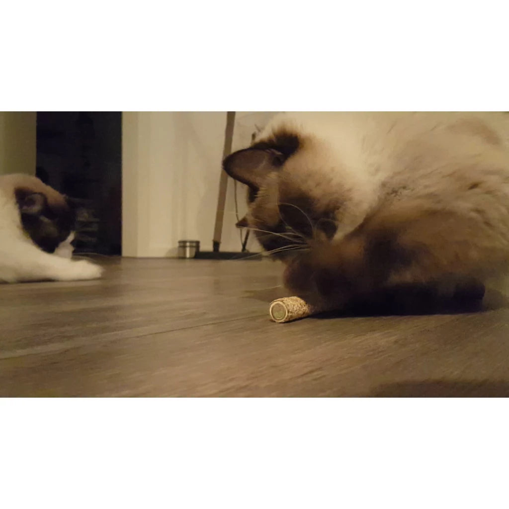 Addicted sticks (2 stuks)