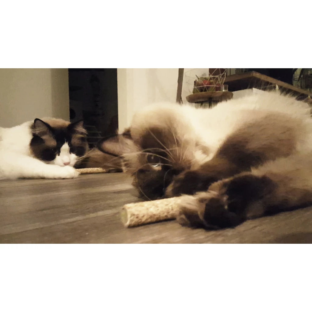 Addicted sticks (2 stuks)