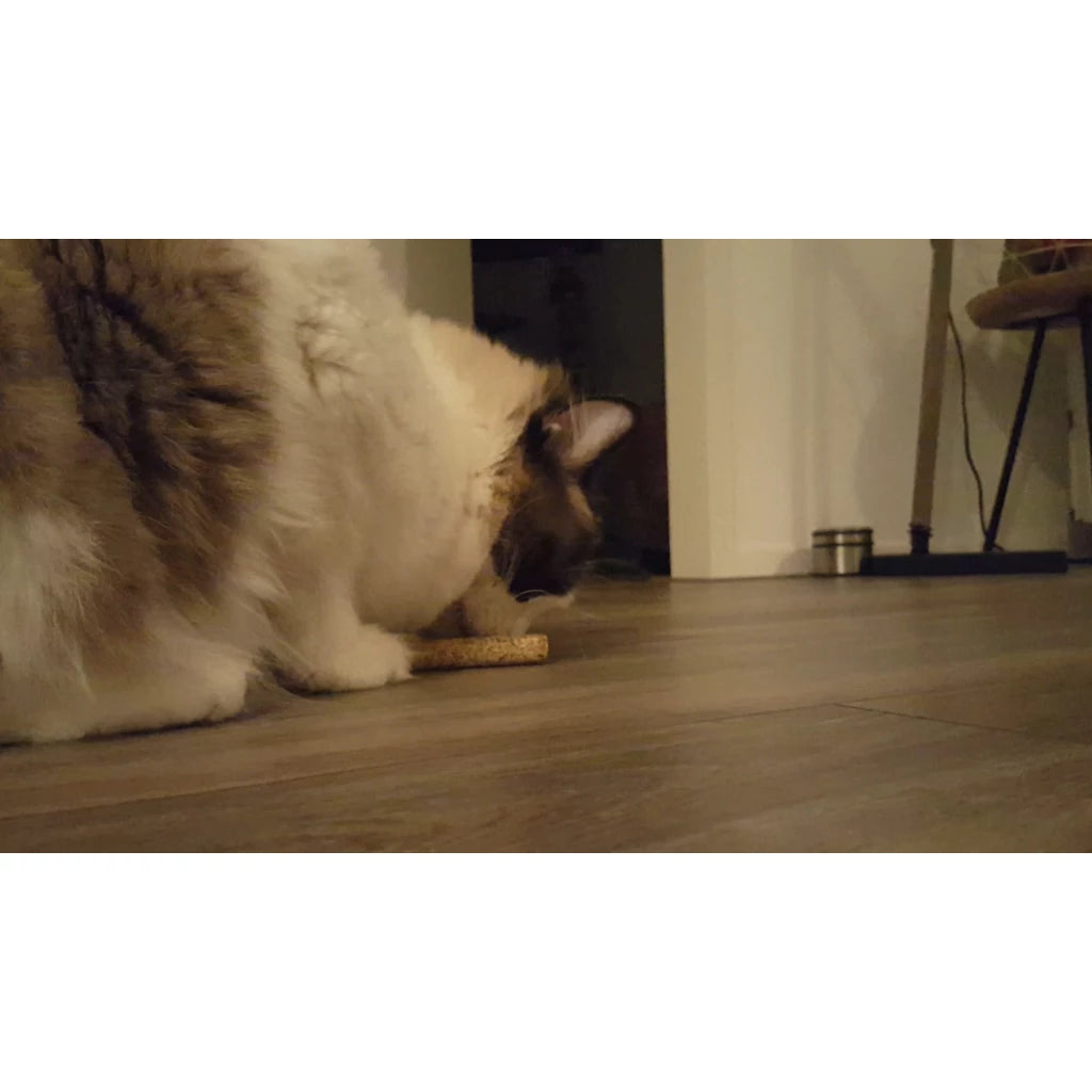 Addicted sticks (2 stuks)