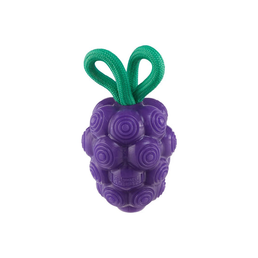 Outward Hound Dental Grapes (Foodies)