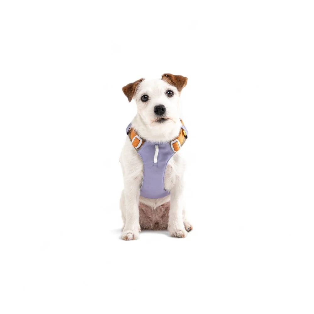 Alpha 360 Harness Lavender Mix - M