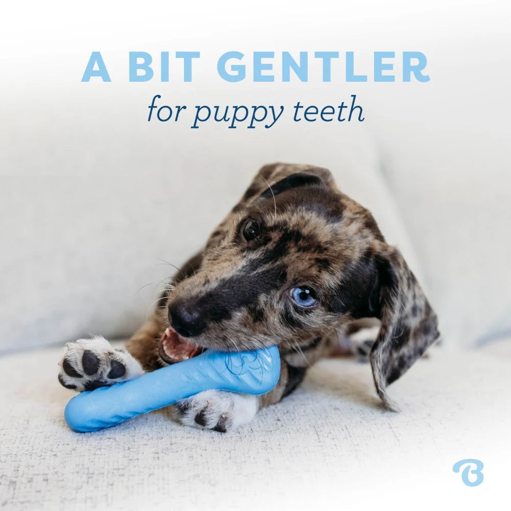 Benebone Puppy Pack - Rubber Bone + Wishbone