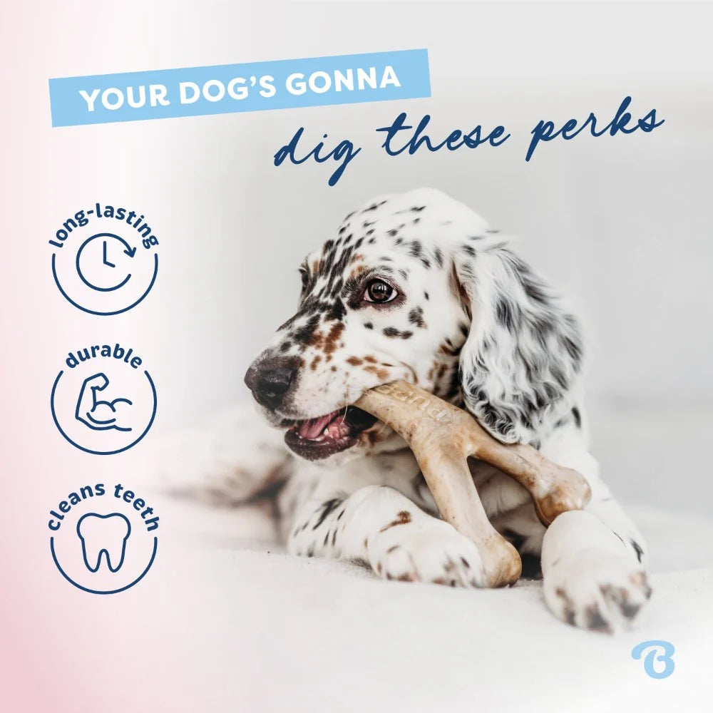 Benebone Puppy Pack - Rubber Bone + Wishbone