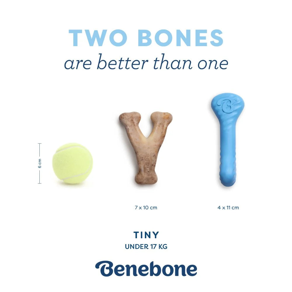 Benebone Puppy Pack - Rubber Bone + Wishbone