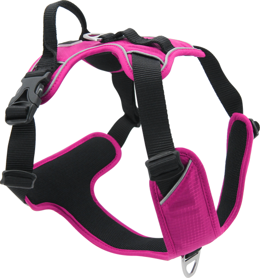 Expedition Tuigje Fuschia