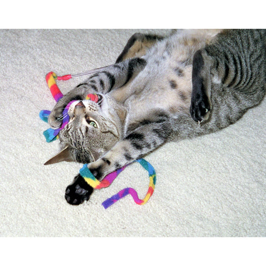 Cat Charmer lange hengel