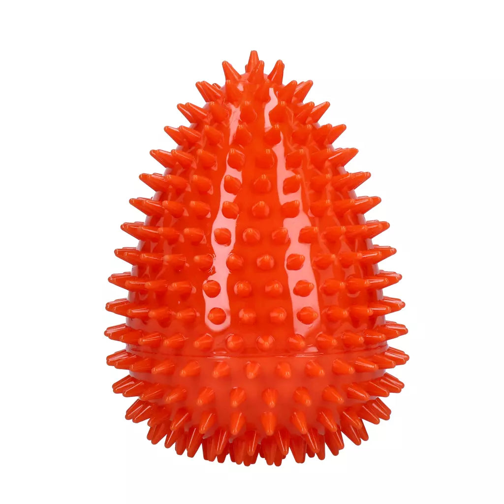 Dog Comets Cosmic Egg Oranje